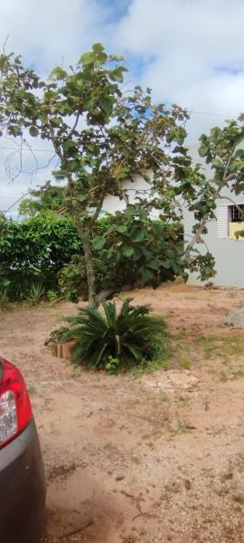 Espaço Moura